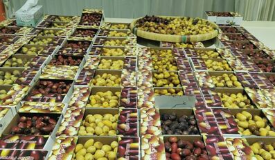 Dates Festival in Souq Waqif ends today